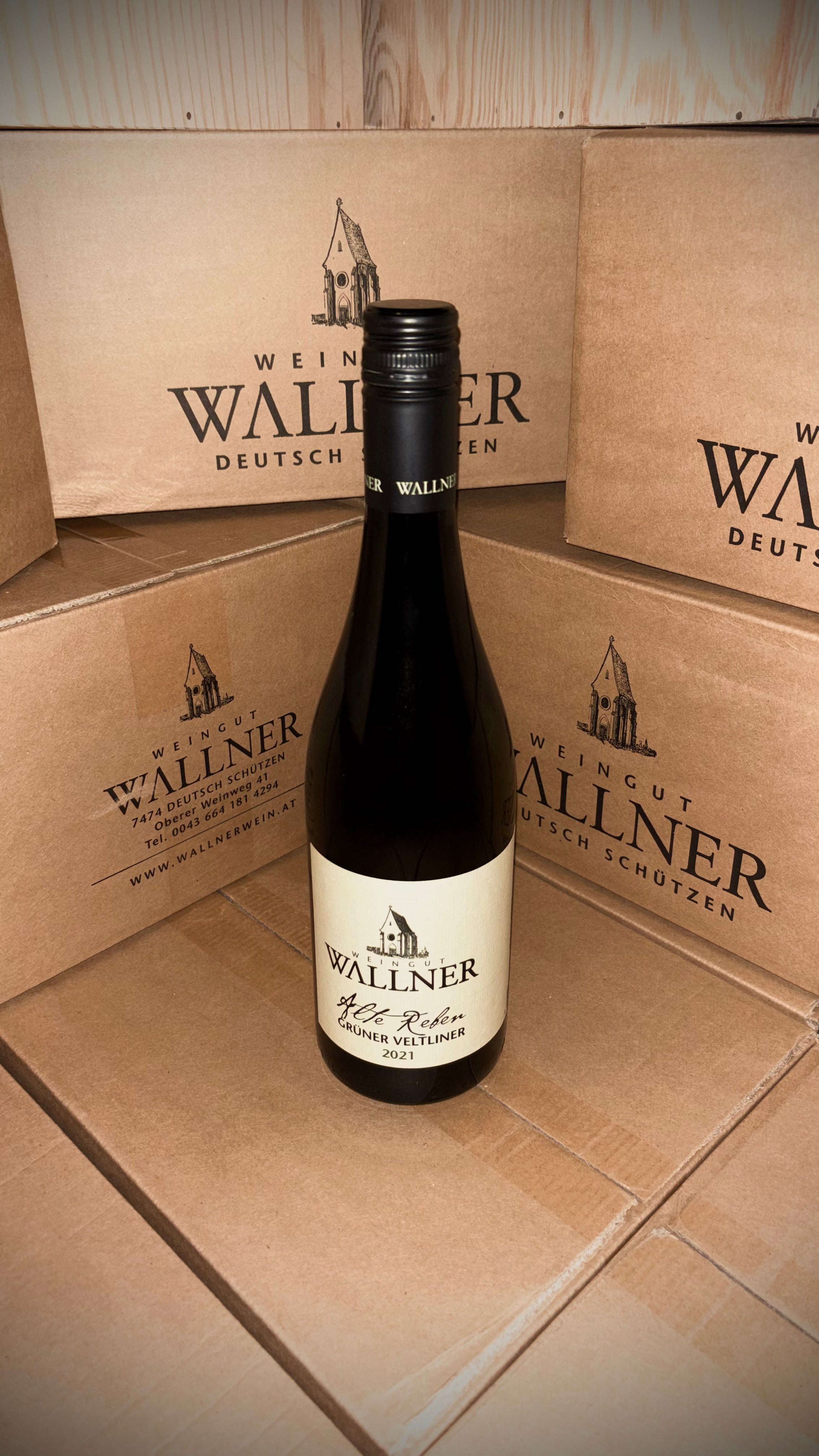 ALTE REBEN GRÜNER VELTLINER 2021