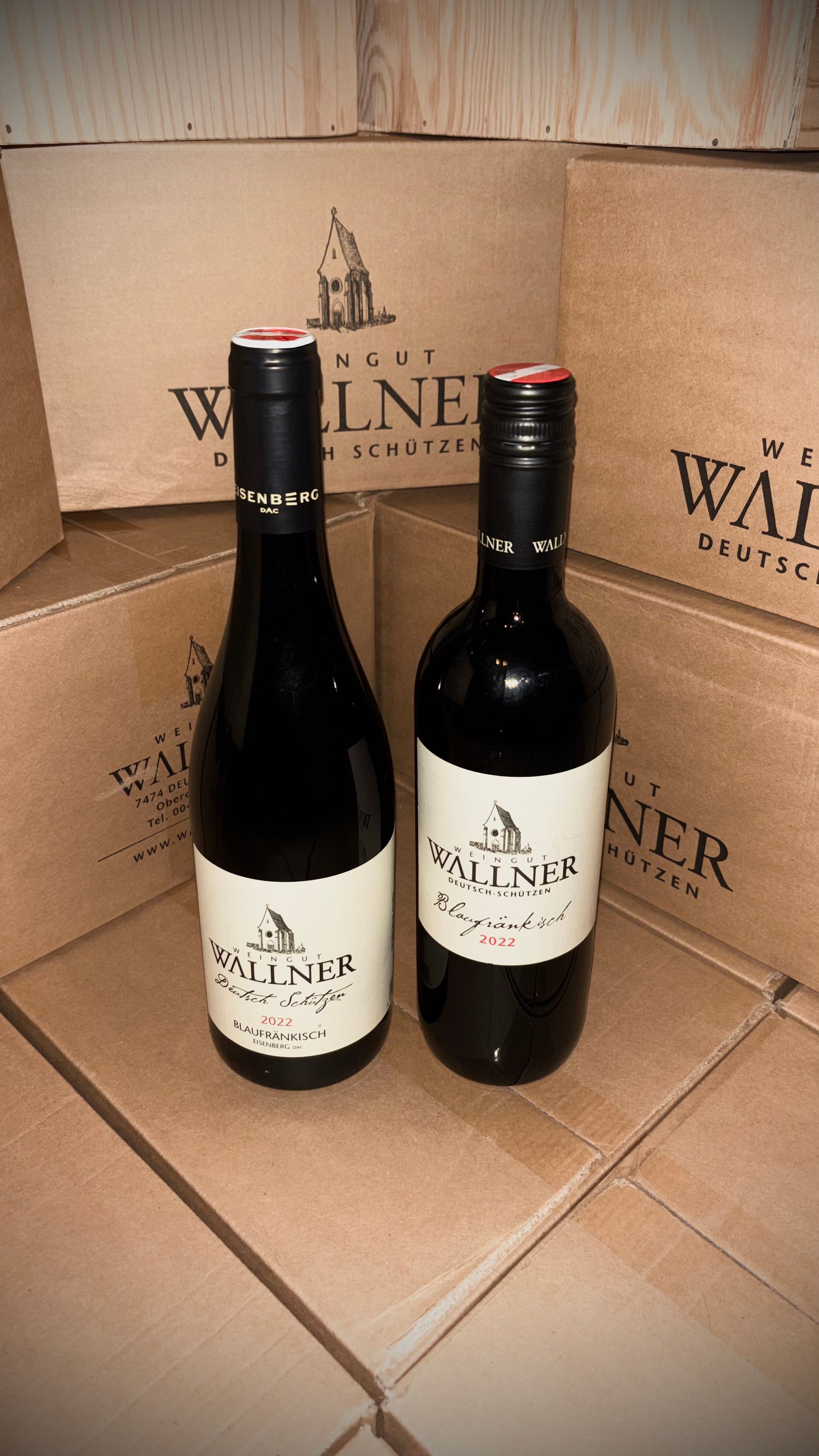 BLAUFRÄNKISCH DUO 2022