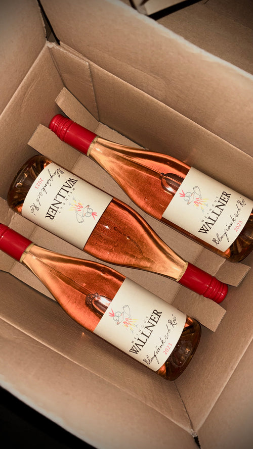 BLAUFRÄNKISCH ROSÉ 2023